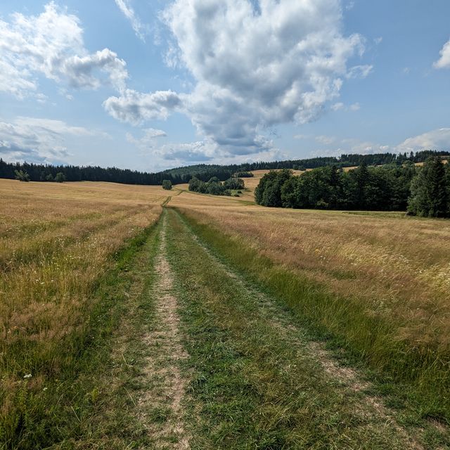 Cesta loukami