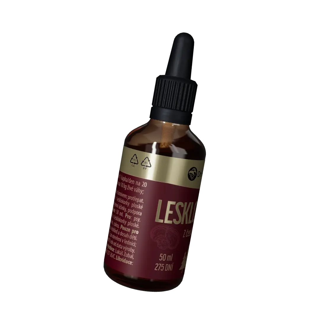 Ganoderma (Lesklokorka)