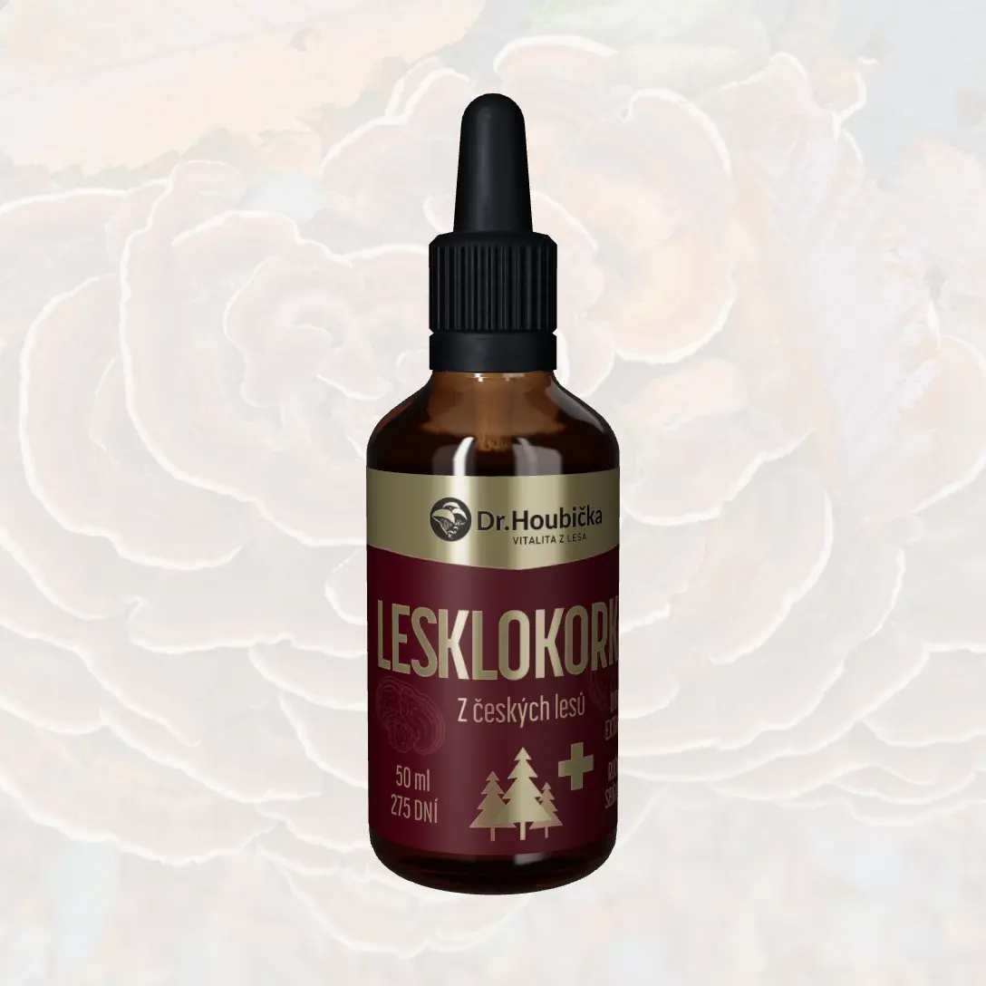 Ganoderma (Lesklokorka)
